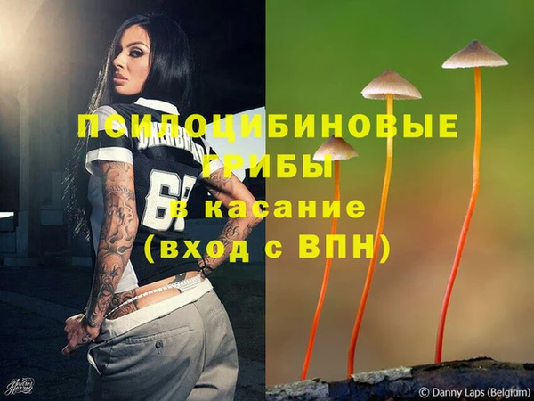 прущая мука Арсеньев
