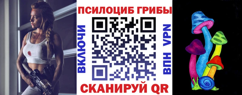 Псилоцибиновые грибы Psilocybine cubensis  как найти   Лиски 